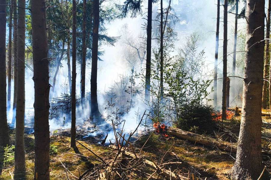 Grote natuurbrand in Haulsterbossen bij Ouwsterhaule