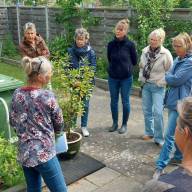 Eten uit eigen tuin: ,,vandaag de dag overheersen de smaken zoet en zout