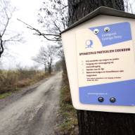 'Trage Tocht Sint Nicolaasga' wandeltocht van maand