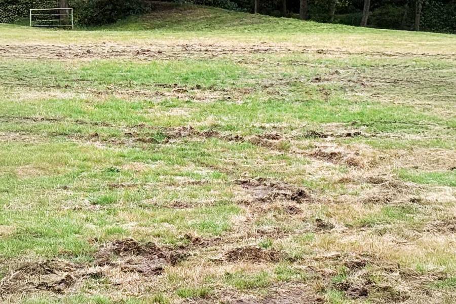 Autocrosser vernielt terrein manege De Oorsprong Sint Nyk