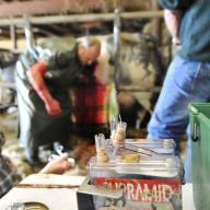 Dierenartsenpraktijk vertrekt uit Sint Nicolaasga