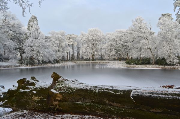 wilhelminaoord jan 2017